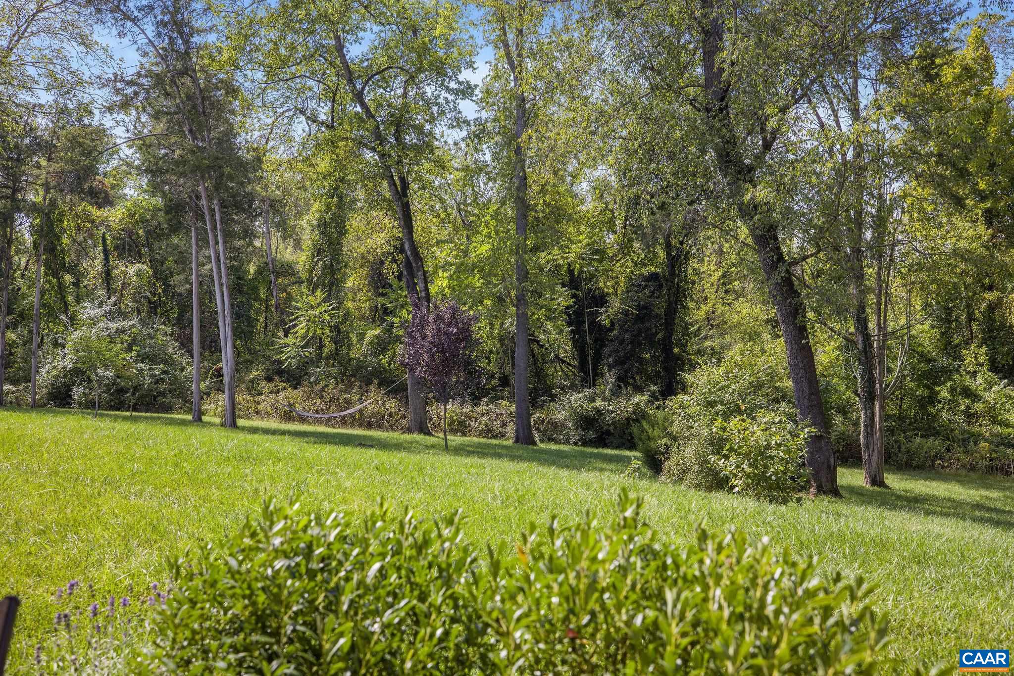 537 Trailside Drive Charlottesville, VA 22911 - Photo 49 of 52 a view of a field with trees