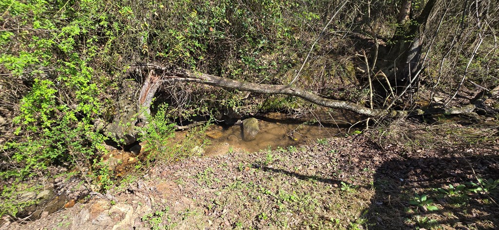 129 Moccasin Road Blairsville, GA 30512 - Photo 18 of 23