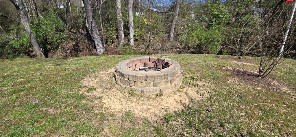 129 Moccasin Road Blairsville, GA 30512 - Photo 19 of 23