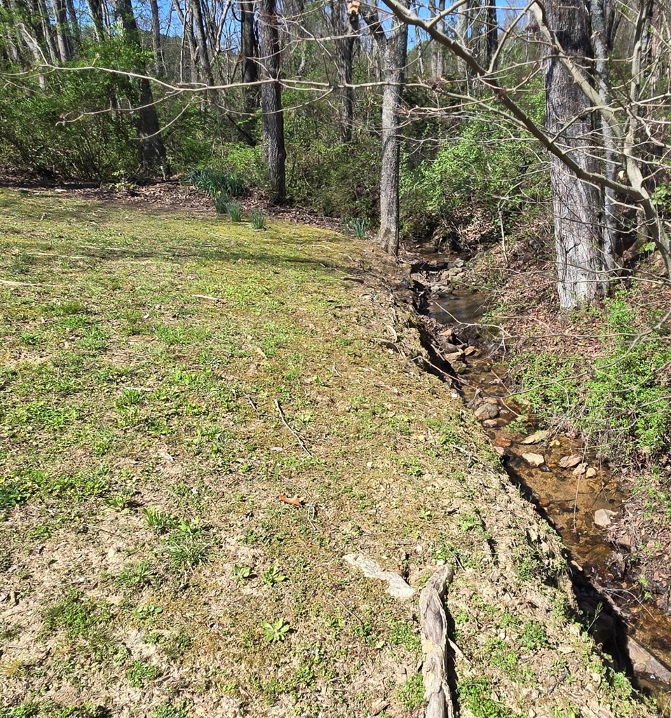 129 Moccasin Road Blairsville, GA 30512 - Photo 2 of 23