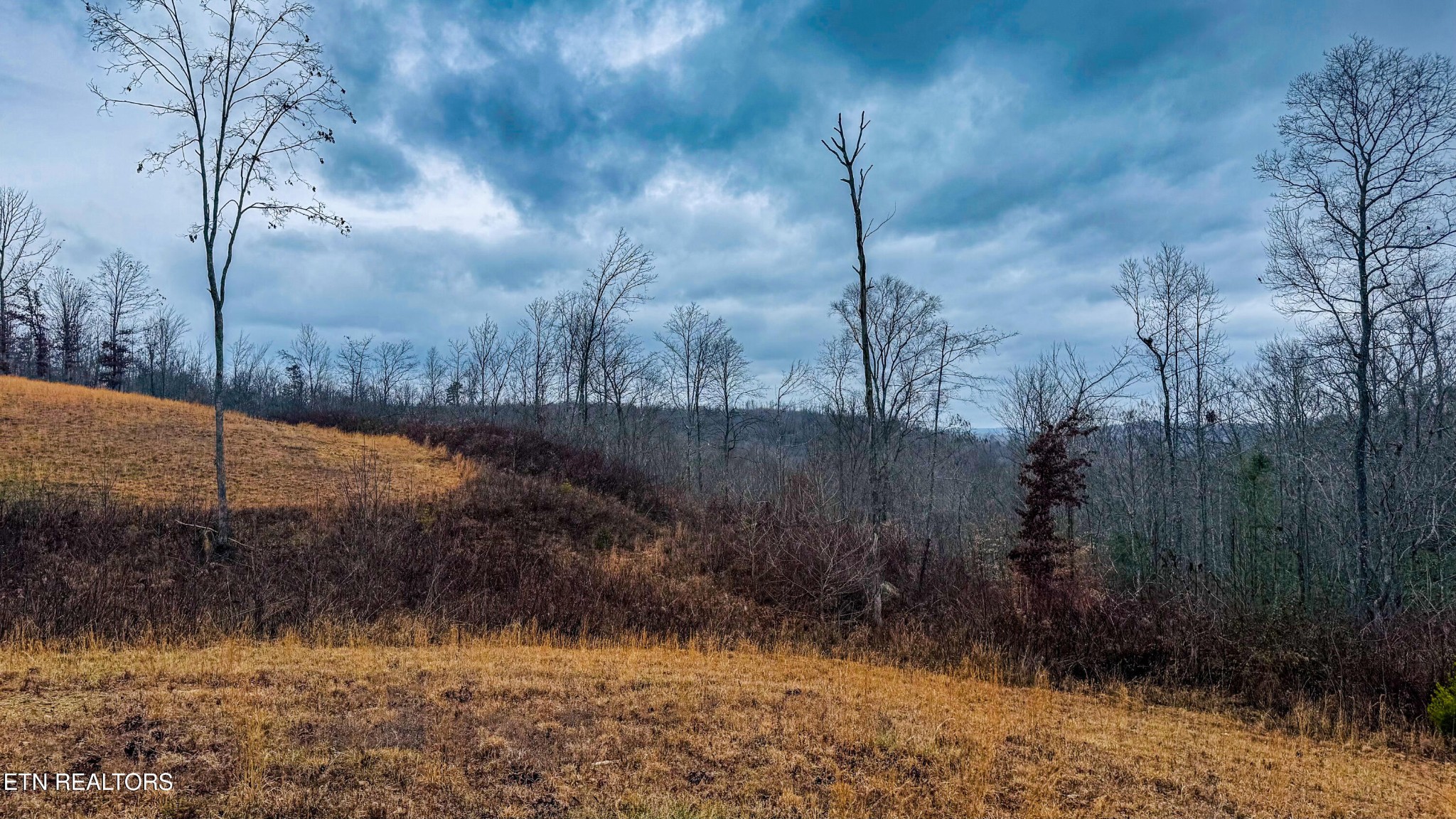 1682 Clifty Crk Road Winfield, TN 37892 - Photo 6 of 12 Gallery Image 6