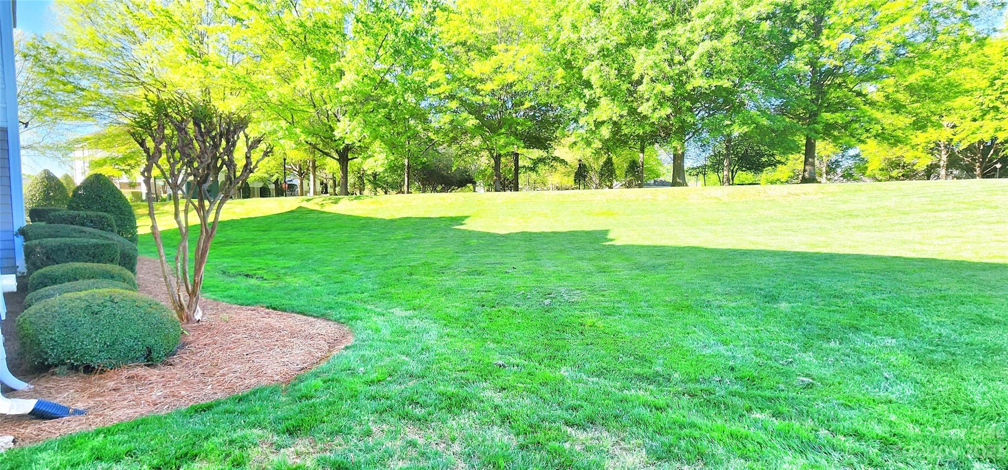 10125 Westmoreland Road, Unit 2D Cornelius, NC 28031 - Photo 4 of 36 a view of yard with green space
