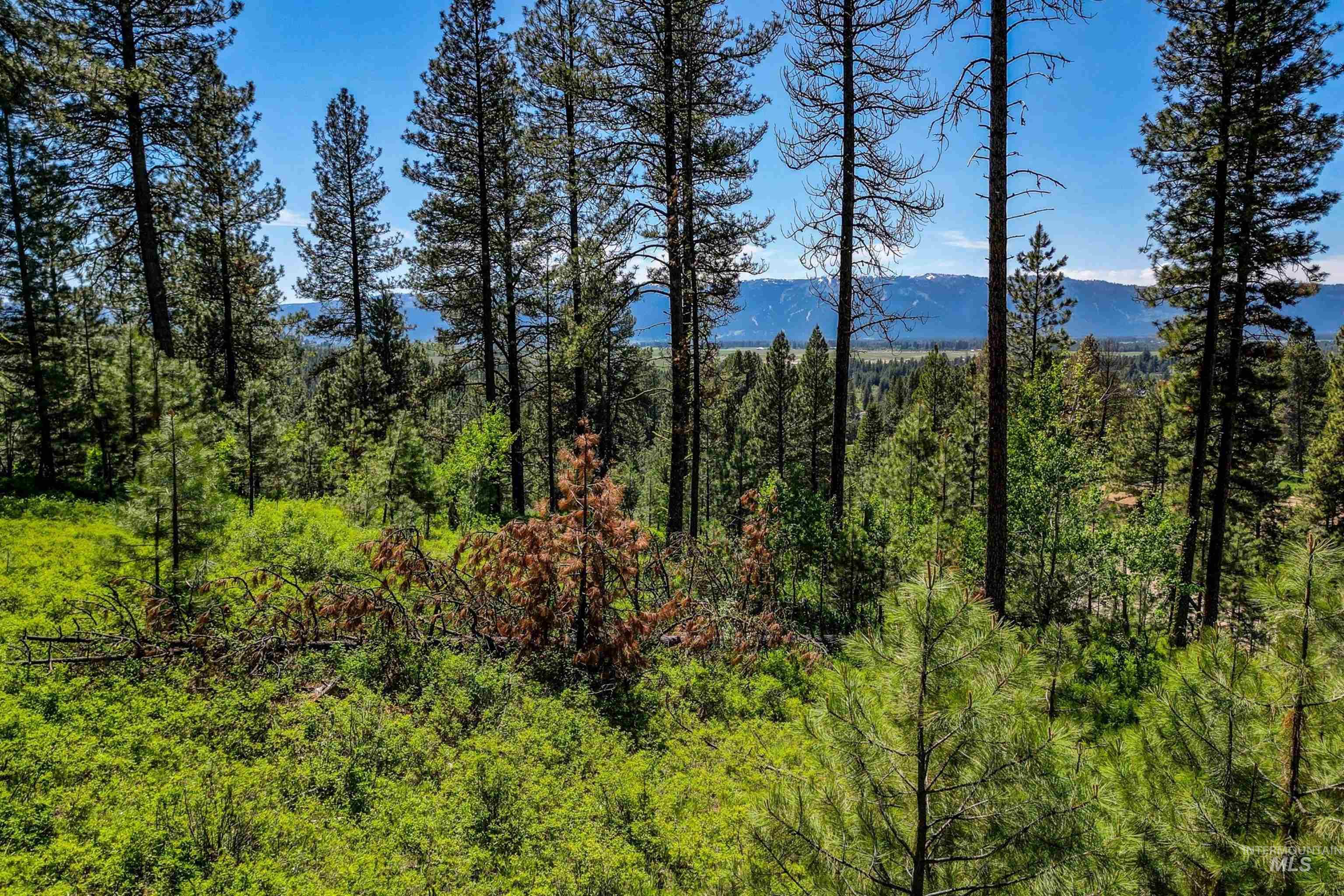 Lot 3 Hideout Road Donnelly, ID 83615 - Photo 2 of 12
