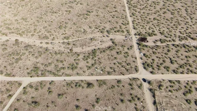 a view of a dry yard