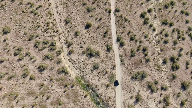 a close up of a field