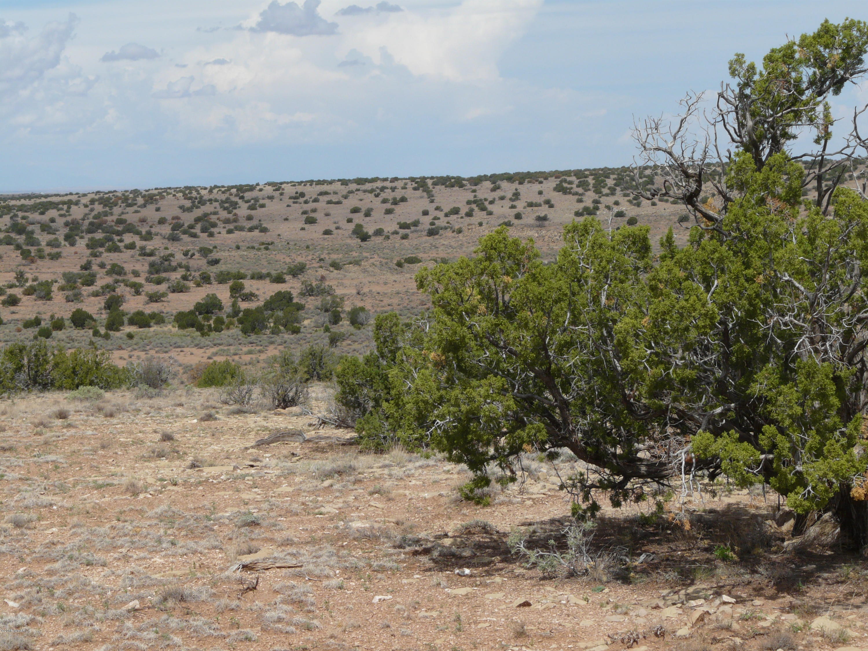 Ccr Unit 4 Ccr, Unit 4 Heber, AZ 85928 - Photo 13 of 19