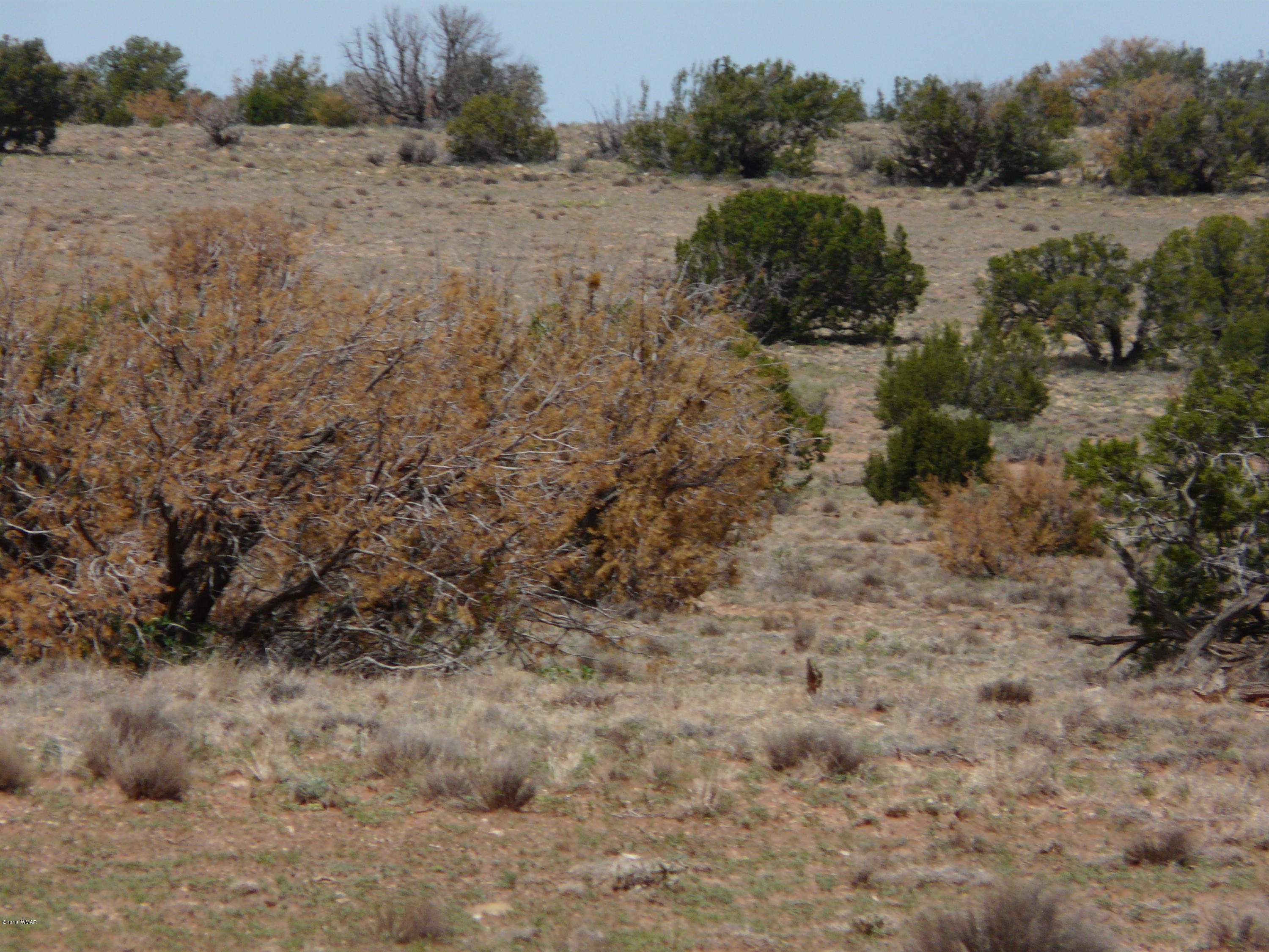 Ccr Unit 4 Ccr, Unit 4 Heber, AZ 85928 - Photo 15 of 19