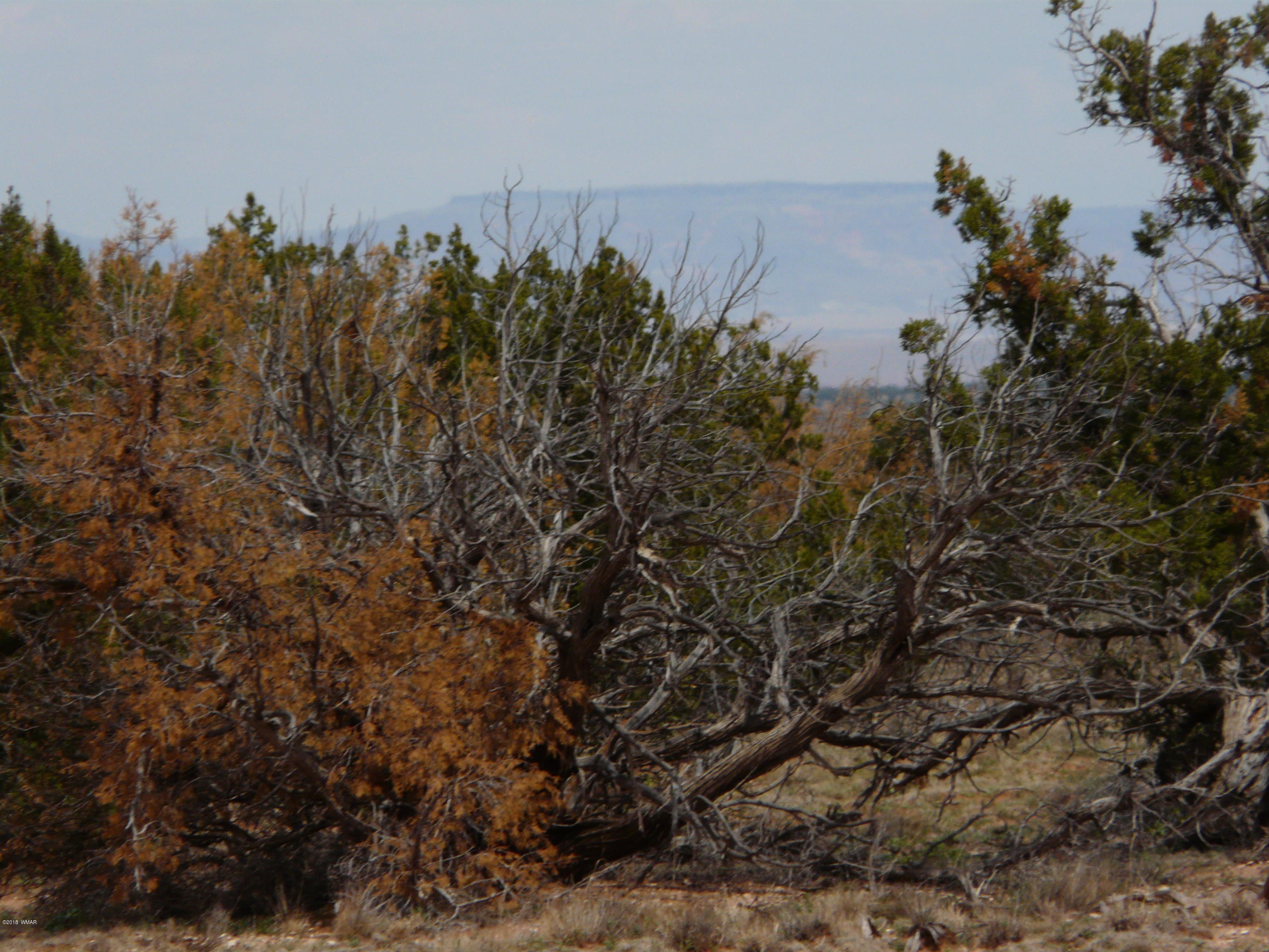 Ccr Unit 4 Ccr, Unit 4 Heber, AZ 85928 - Photo 18 of 19