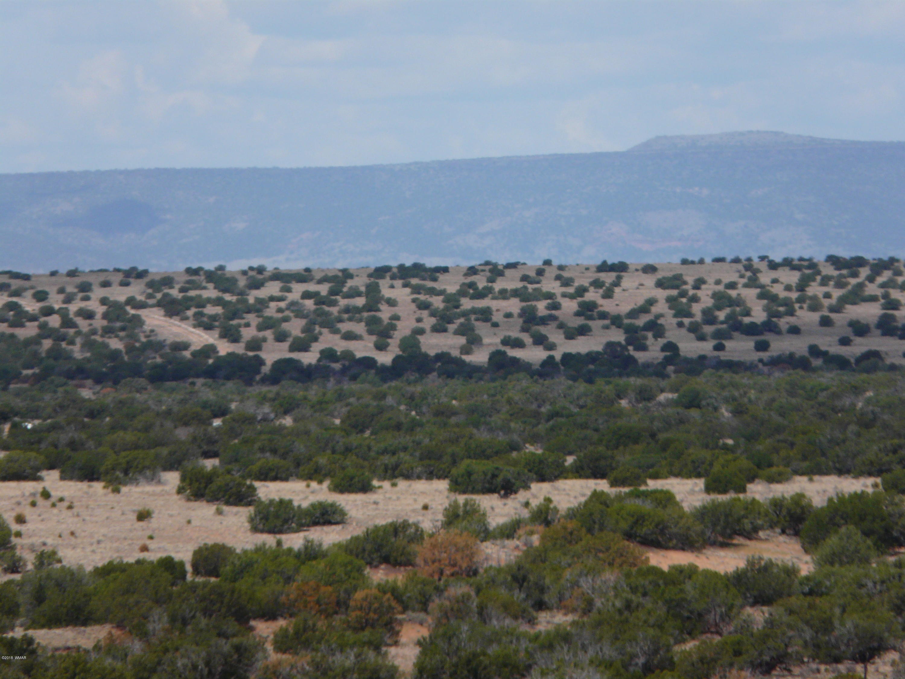 Ccr Unit 4 Ccr, Unit 4 Heber, AZ 85928 - Photo 4 of 19