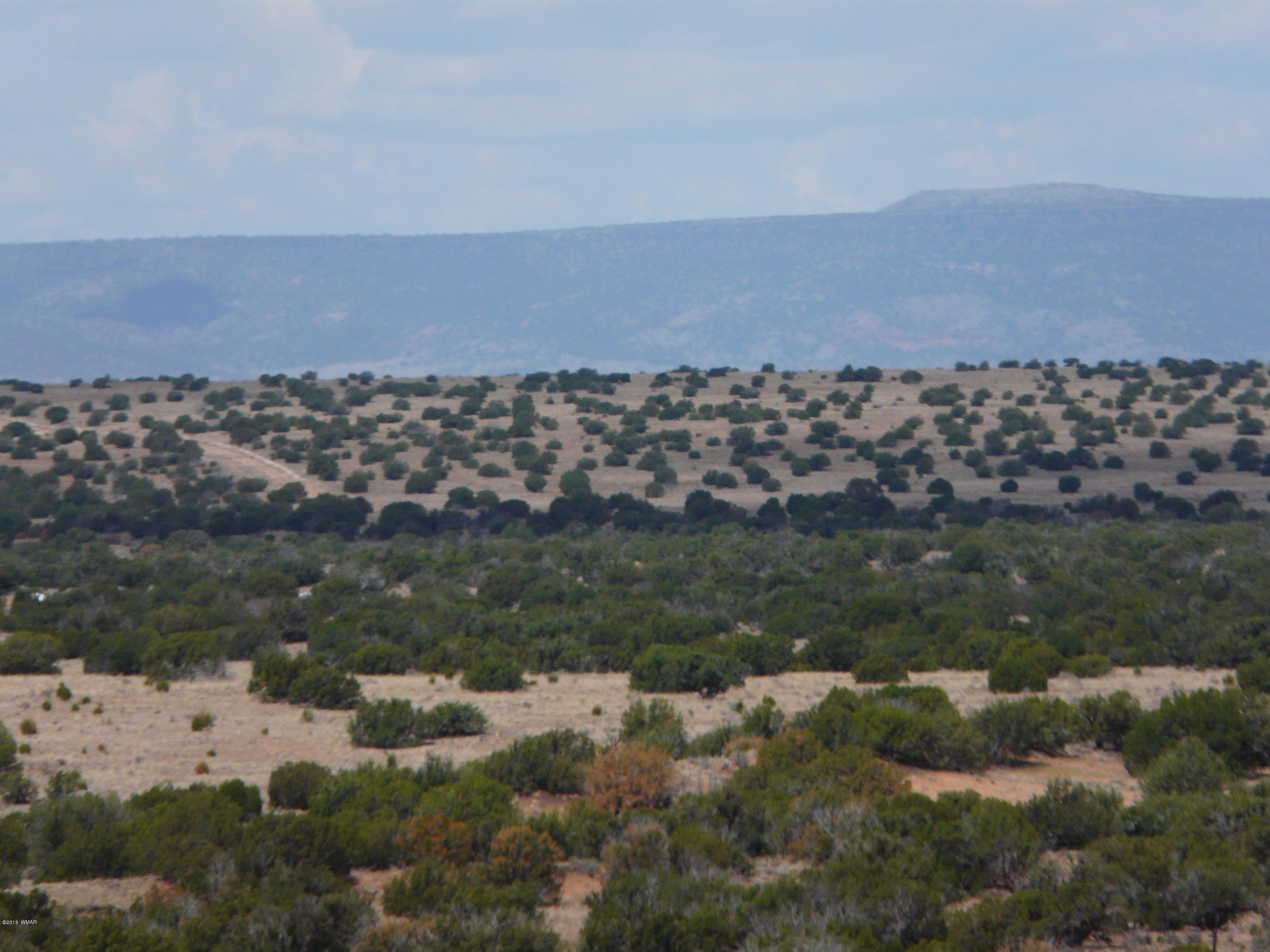 Ccr Unit 4 Ccr, Unit 4 Heber, AZ 85928 - Photo 6 of 19