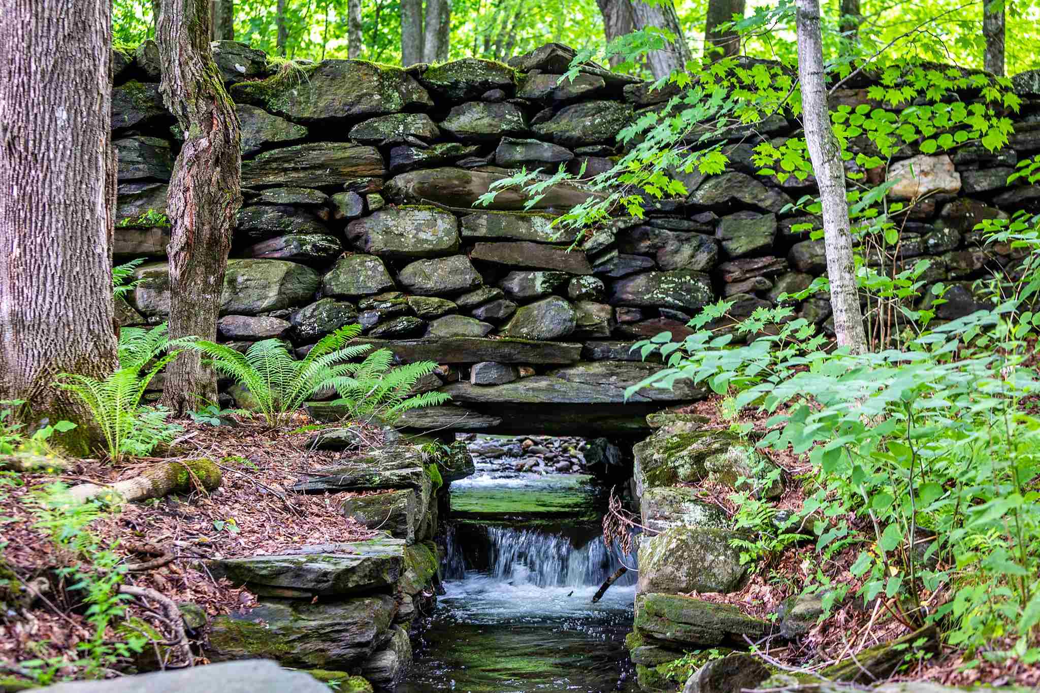 472 Green Gate Road Barnard, VT 05091 - Photo 40 of 40