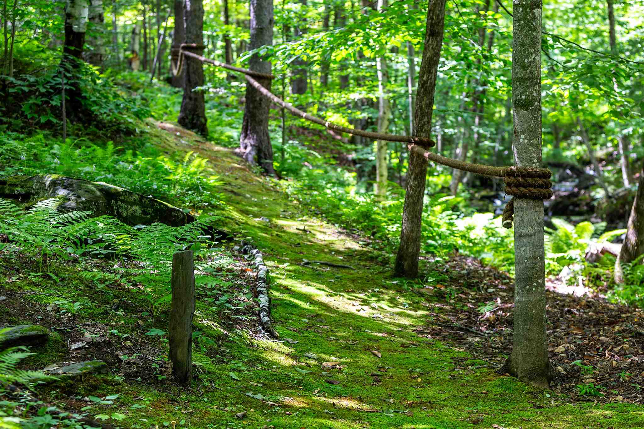472 Green Gate Road Barnard, VT 05091 - Photo 6 of 40