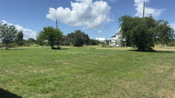 a view of a field of grass and trees