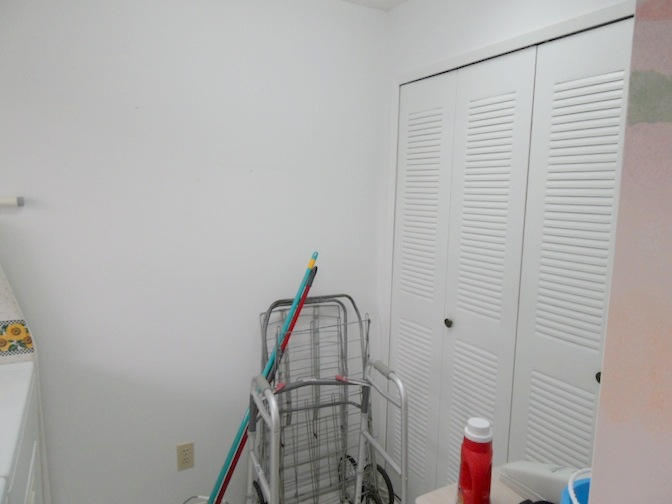 15011 Ashland Circle, Unit 20 Delray Beach, FL 33484 - Photo 19 of 20 Laundry1