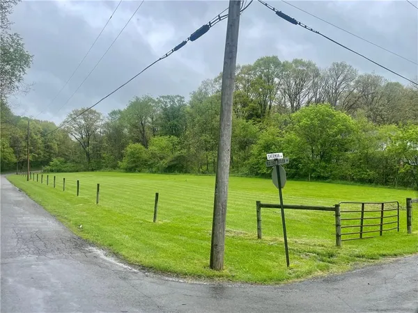 a view of a park with large trees