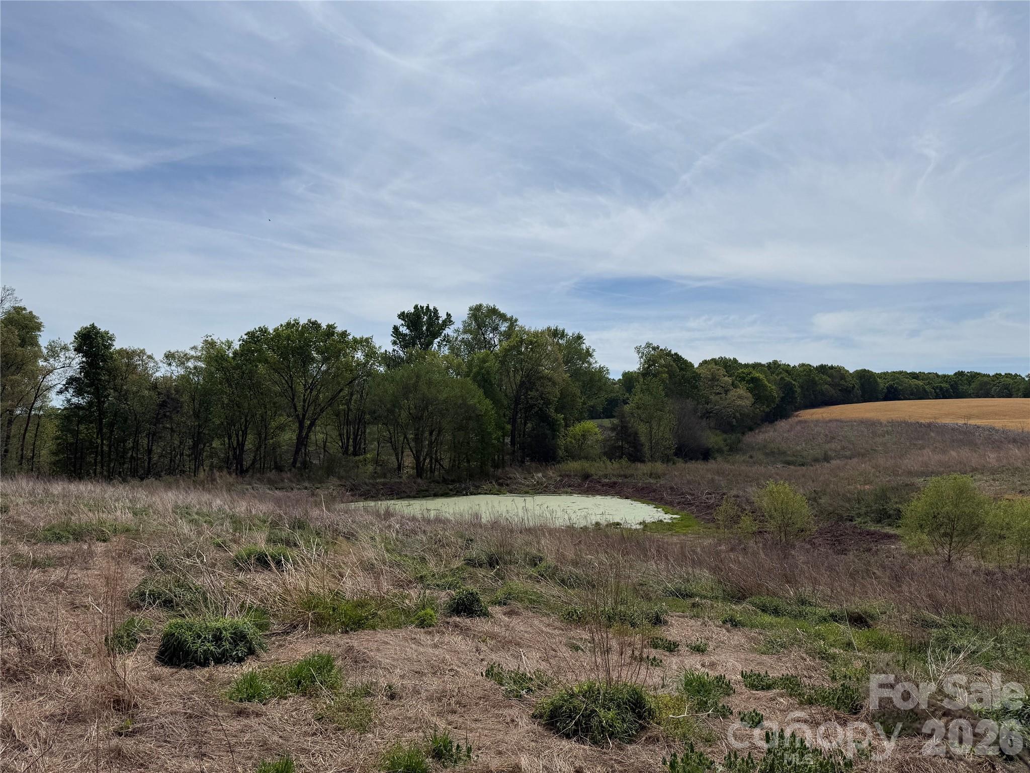 1601 Olive Branch Road Peachland, NC 28133 - Photo 31 of 34