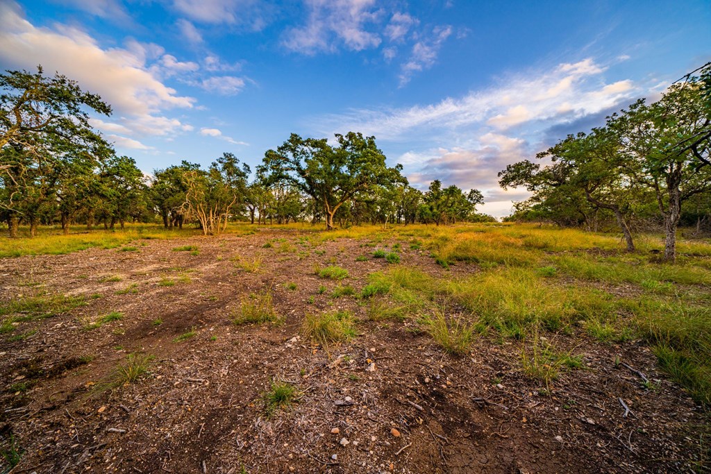 Lot 59 Reservation Road, Unit 59 Harper, TX 78631 - Photo 2 of 6 Gallery Image 2