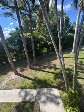 a view of a yard with large tree