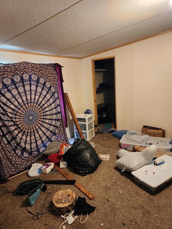 50111 Oller Road Tickfaw, LA 70466 - Photo 15 of 17