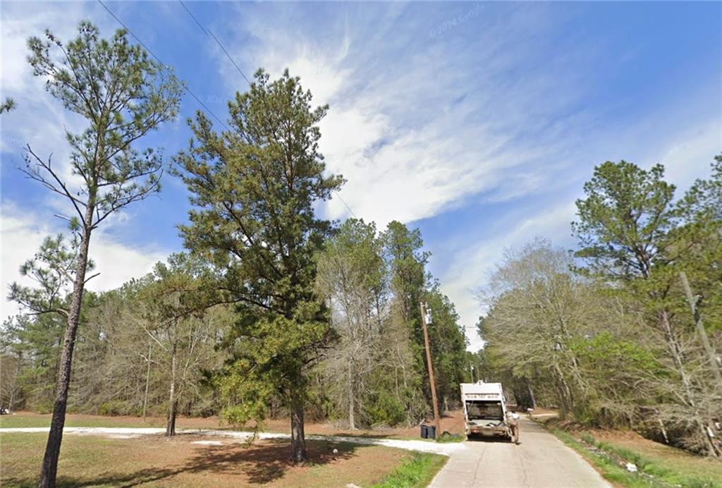 50111 Oller Road Tickfaw, LA 70466 - Photo 2 of 17