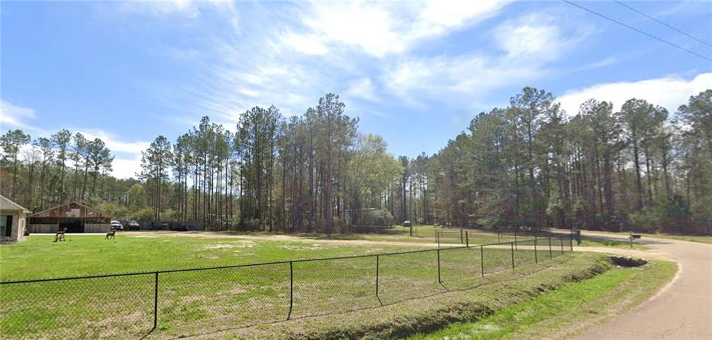 50111 Oller Road Tickfaw, LA 70466 - Photo 3 of 17