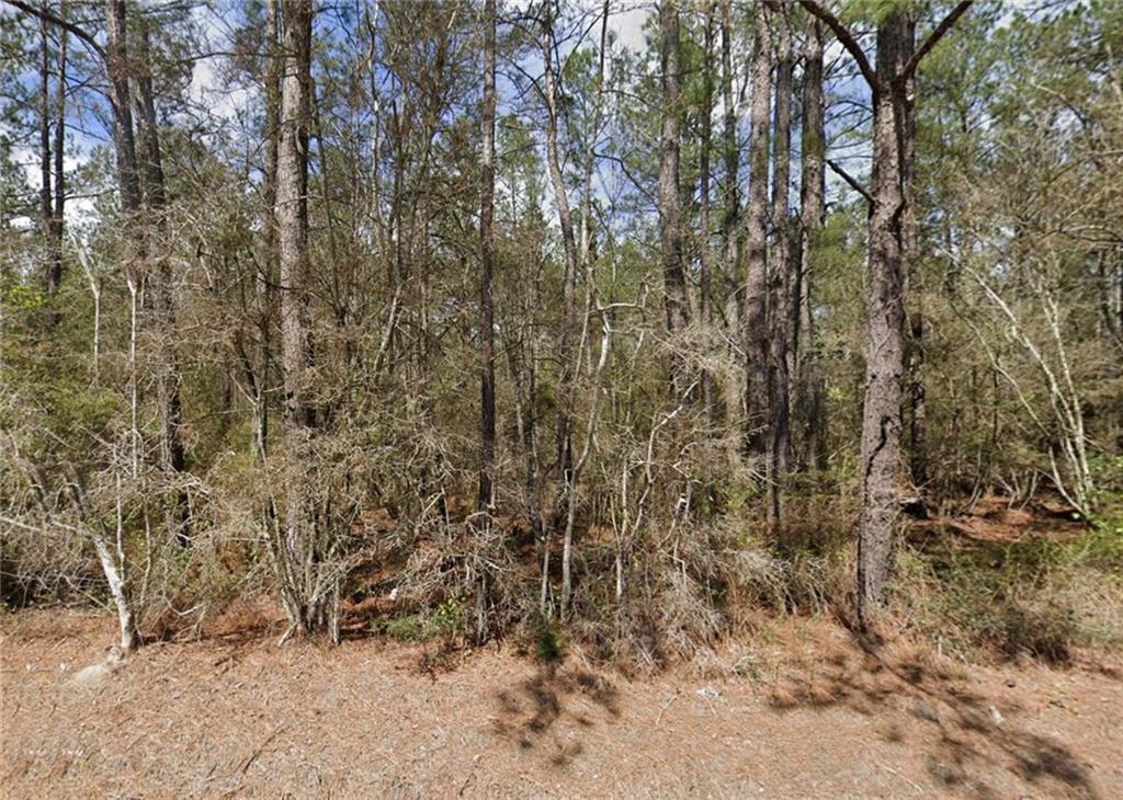 50111 Oller Road Tickfaw, LA 70466 - Photo 4 of 17