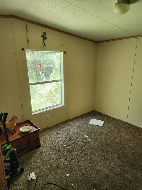 50111 Oller Road Tickfaw, LA 70466 - Photo 7 of 17