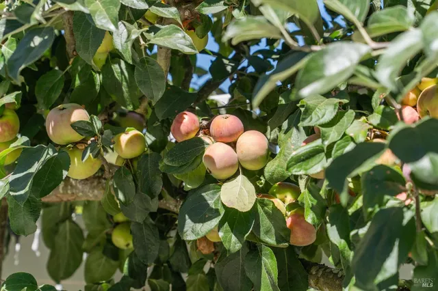 $2,195,000 | 15 Kingswood Drive, Petaluma, CA 94952