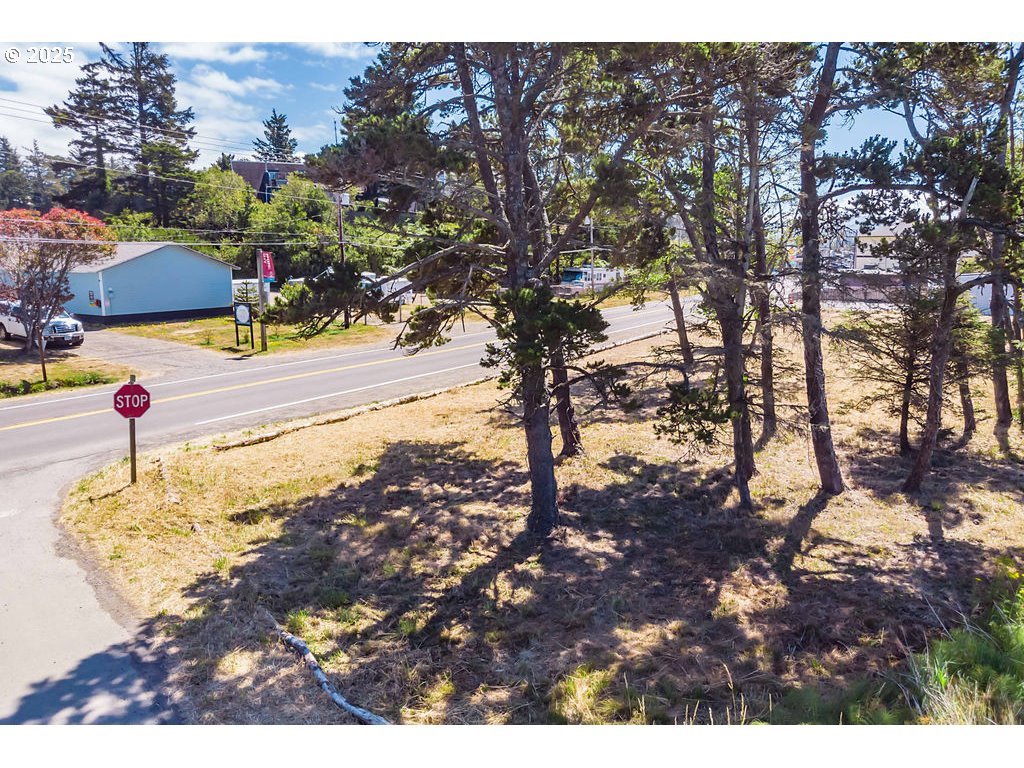 Brooten Road, Unit PARCEL2 Pacific City, OR 97135 - Photo 14 of 15 a street view with large trees