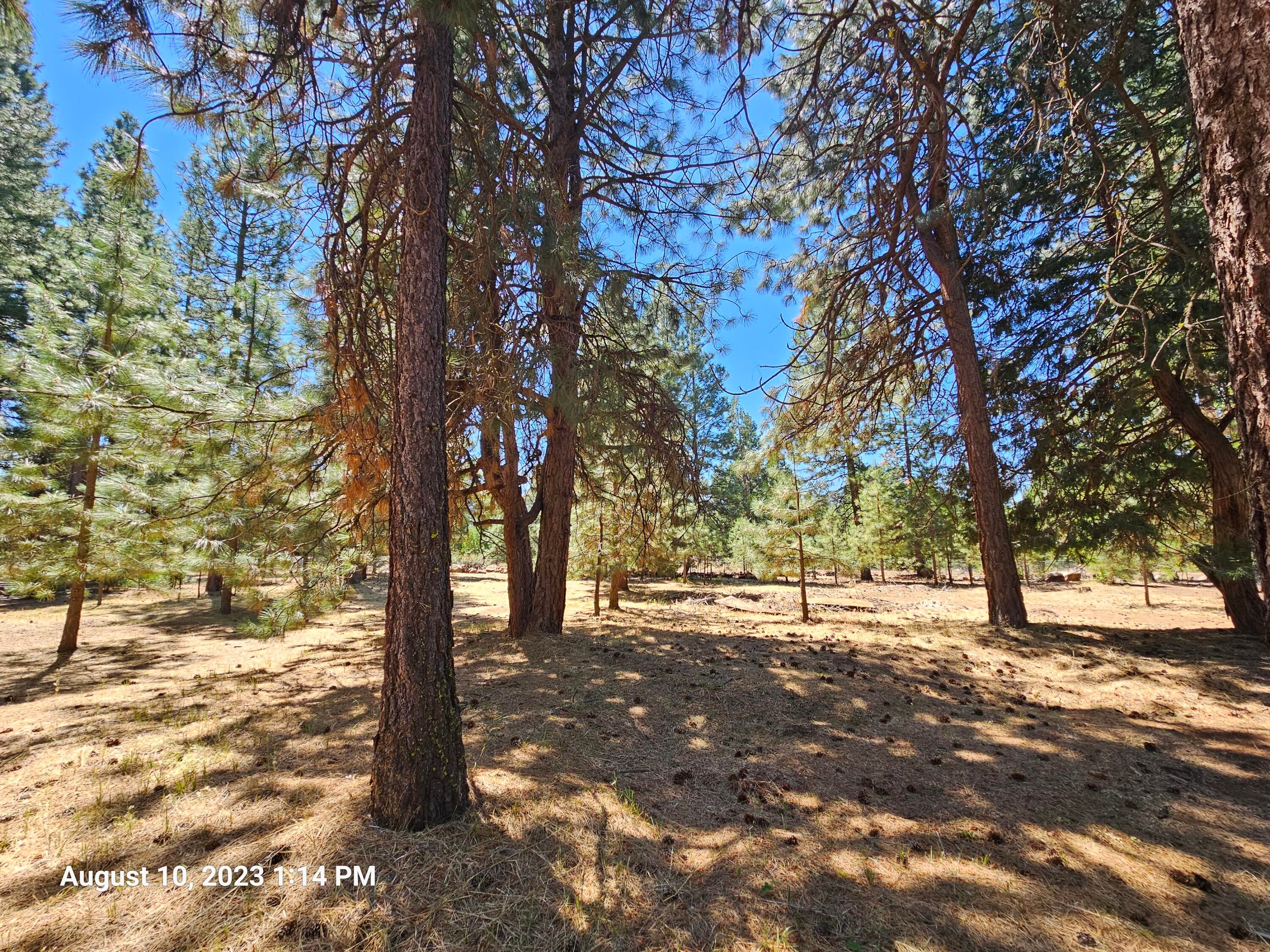 18018 Freight Rd Lane Klamath Falls, OR 97601 - Photo 18 of 33 20230810_131434