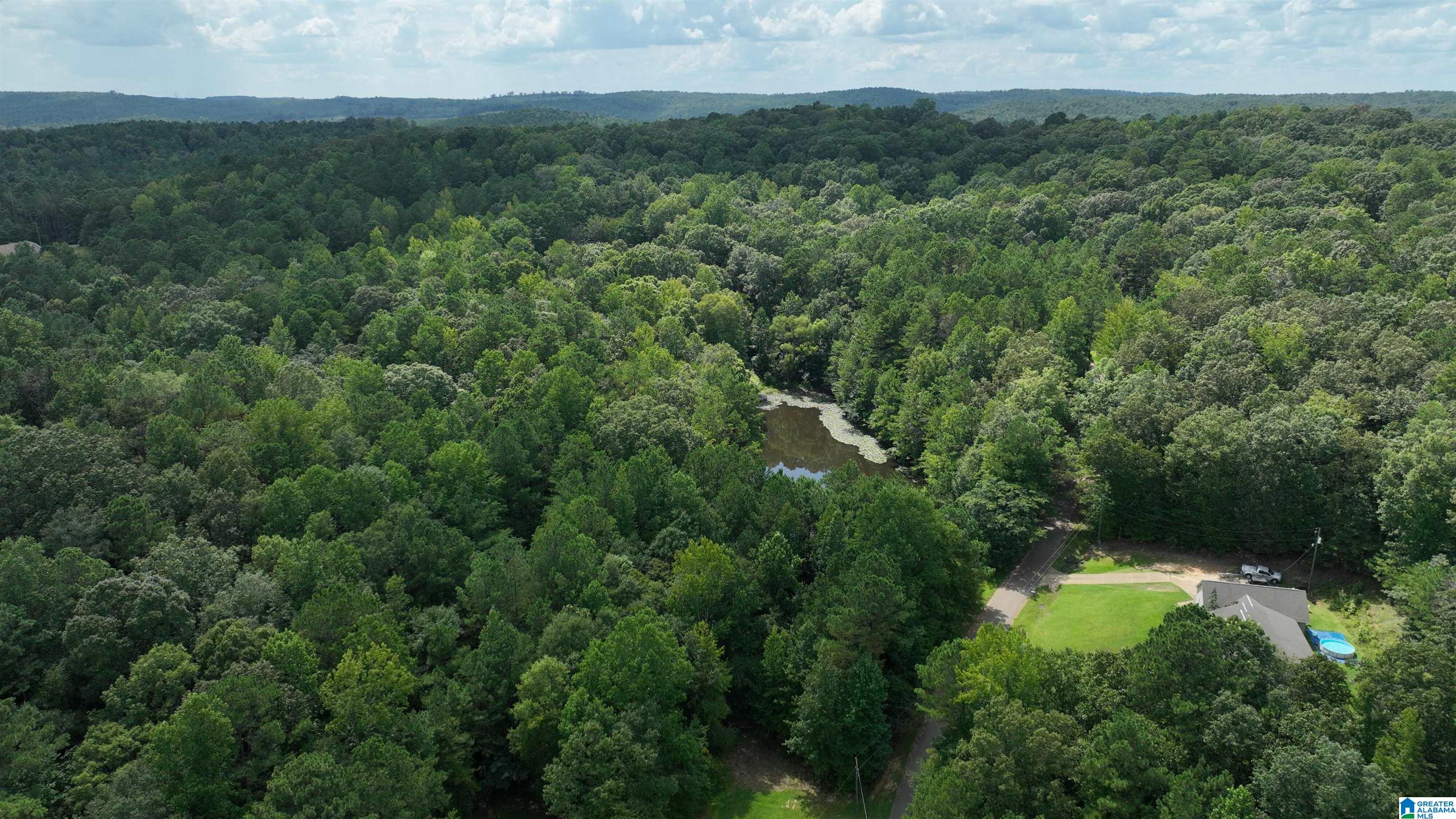 0 Oak Creek Road Fayette, AL 35555 - Photo 11 of 12