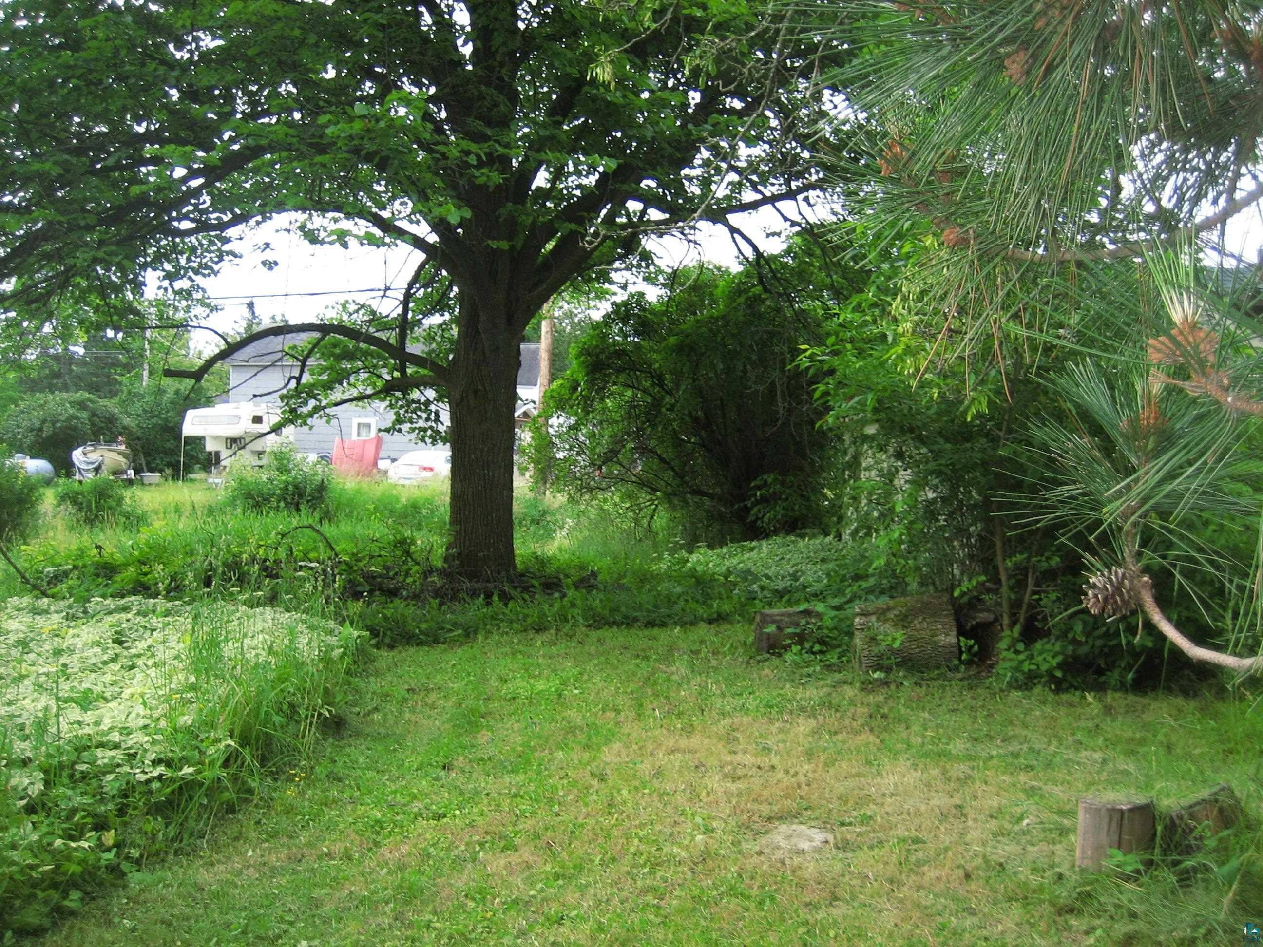 445 East Washington Street Ely, MN 55731 - Photo 3 of 4 View of yard