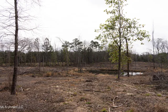 $72,000 | Off Of Forest, Laurel, MS 39443