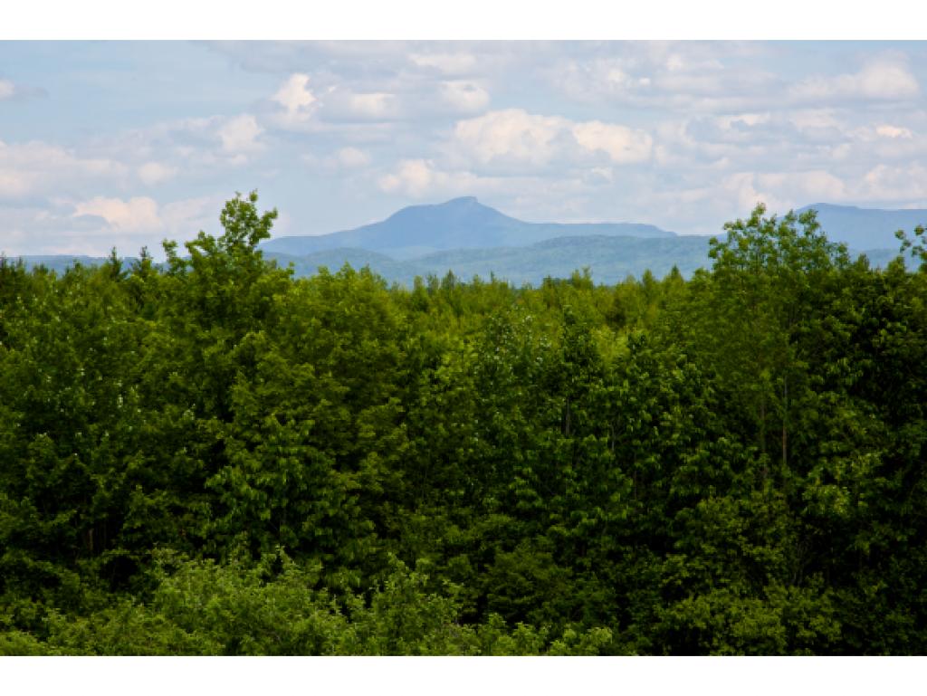1547 Mt Philo Road Charlotte, VT 05445 - Photo 4 of 31 Gallery Image 4