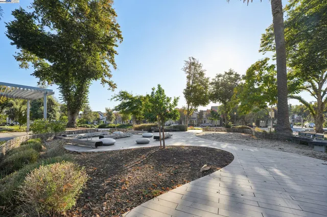 a view of a park with large trees