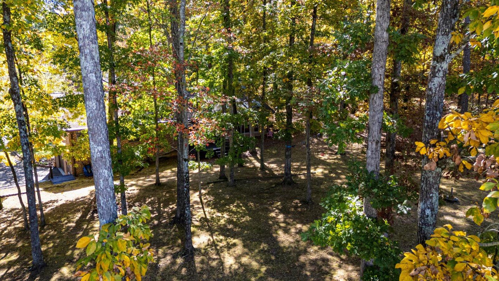 3535 Edgewood Circle Cleveland, TN 37312 - Photo 13 of 51 60-3535 Edgewood Cir-50