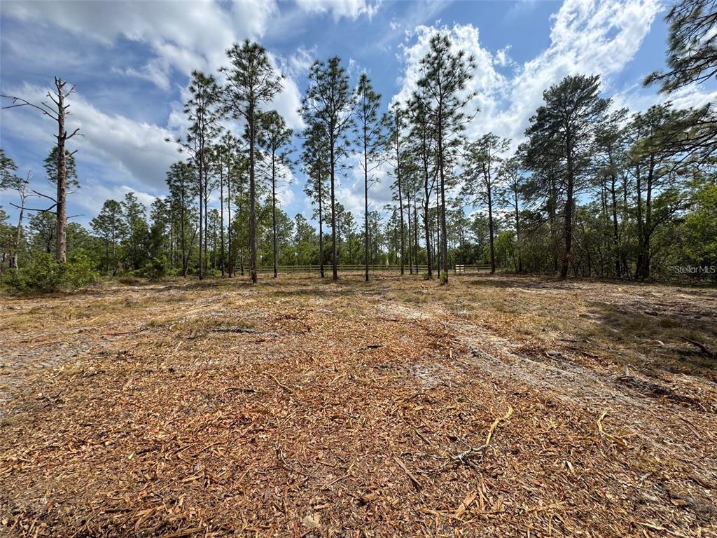 Southwest Edgewater Boulevard Dunnellon, FL 34431 - Photo 5 of 9