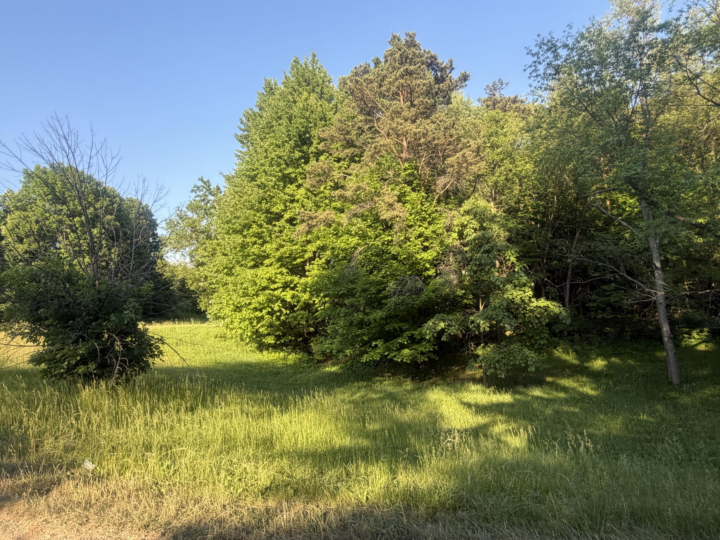 Pifer Road Delton, MI 49046 - Photo 1 of 8 IMG_8176