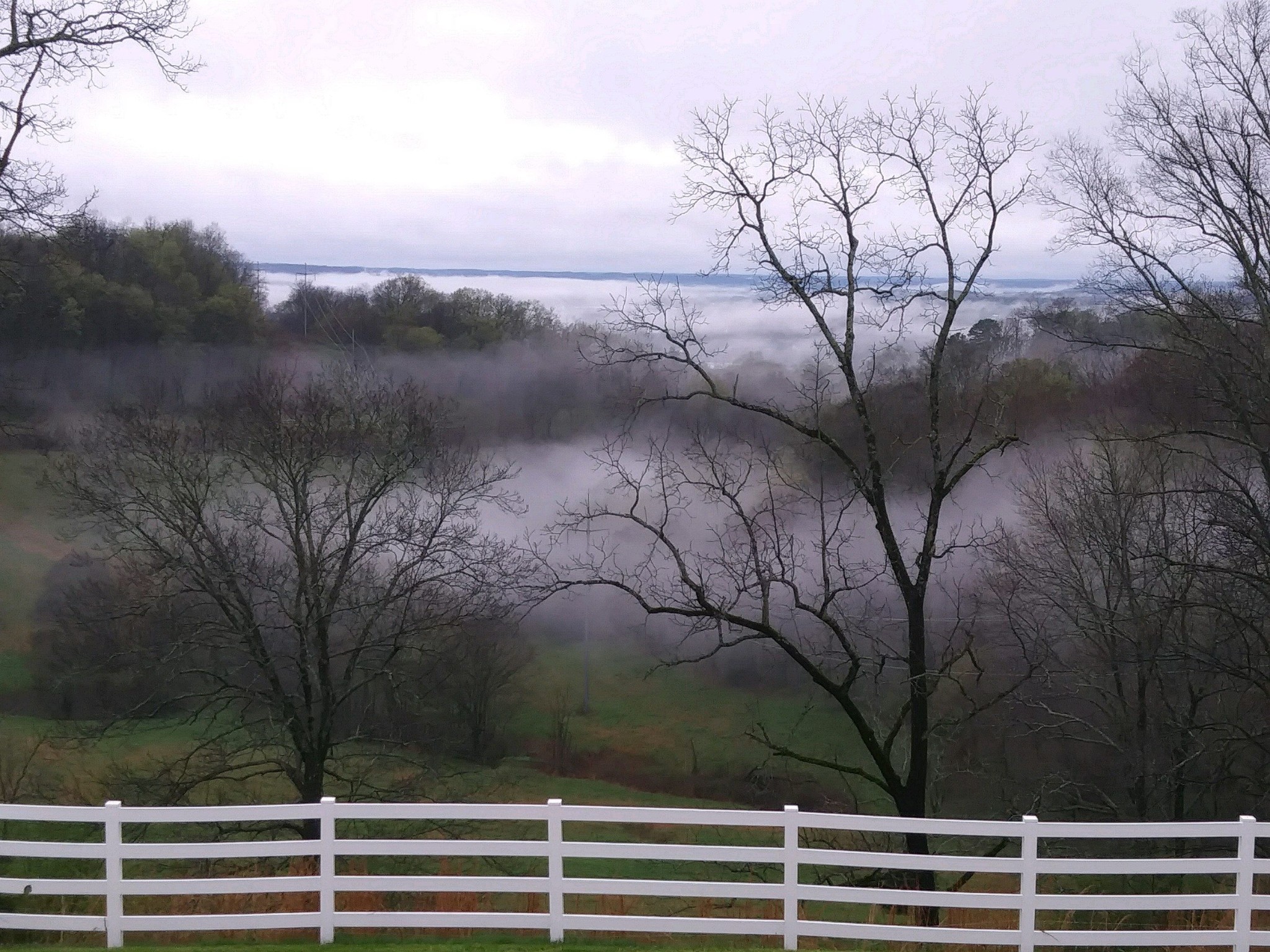 413 Aymett Ridge Road Pulaski, TN 38478 - Photo 38 of 49 Gallery Image 38