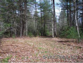 1112 Reasonover Road Cedar Mountain, NC 28718 - Photo 7 of 21 Gallery Image 7