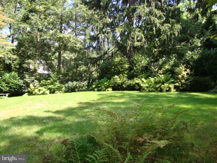 25 Merion Road Merion Station, PA 19066 - Photo 19 of 23 Back Yard