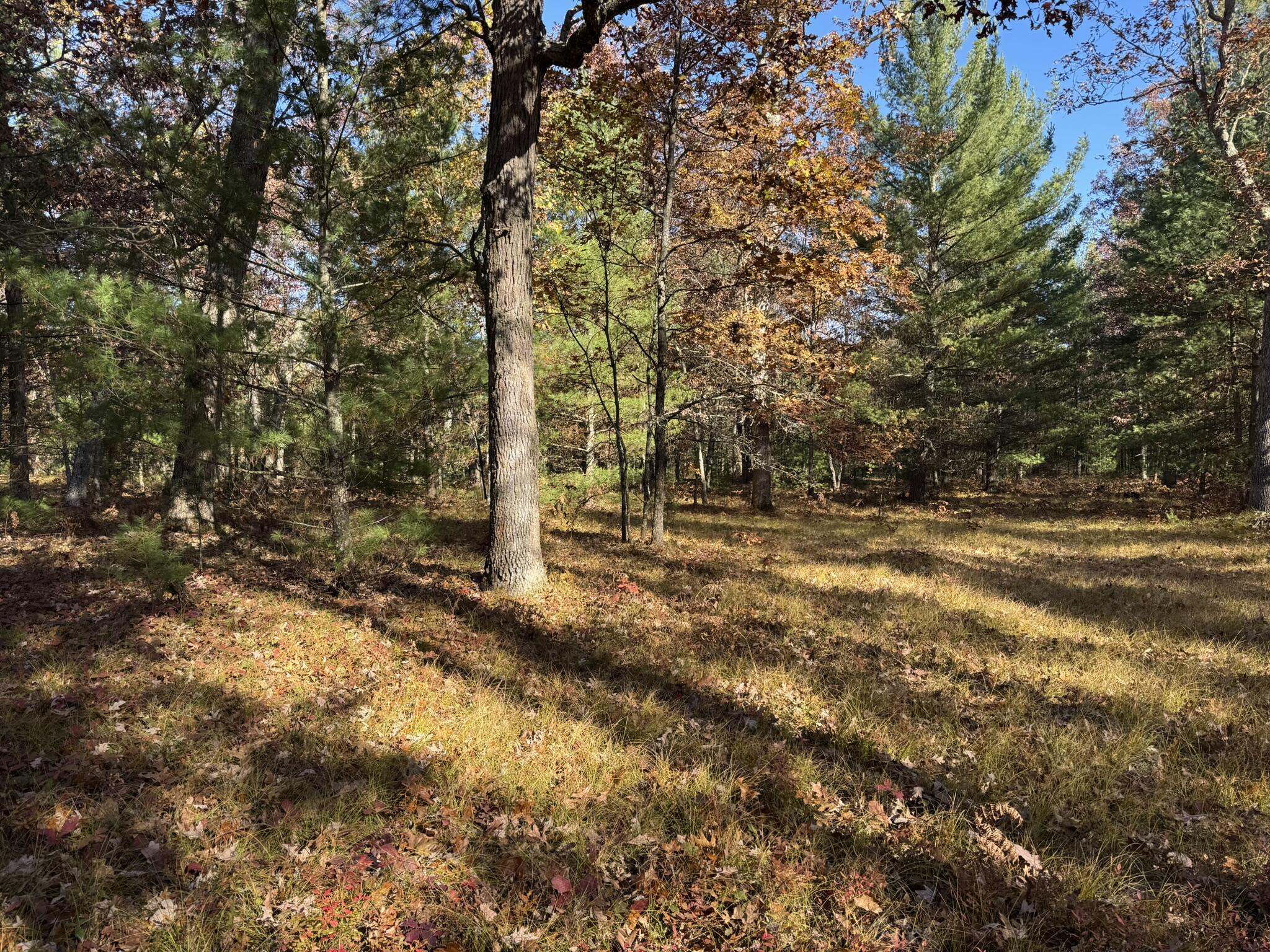 6 County Line Road Manistee, MI 49660 - Photo 4 of 5 IMG_1387