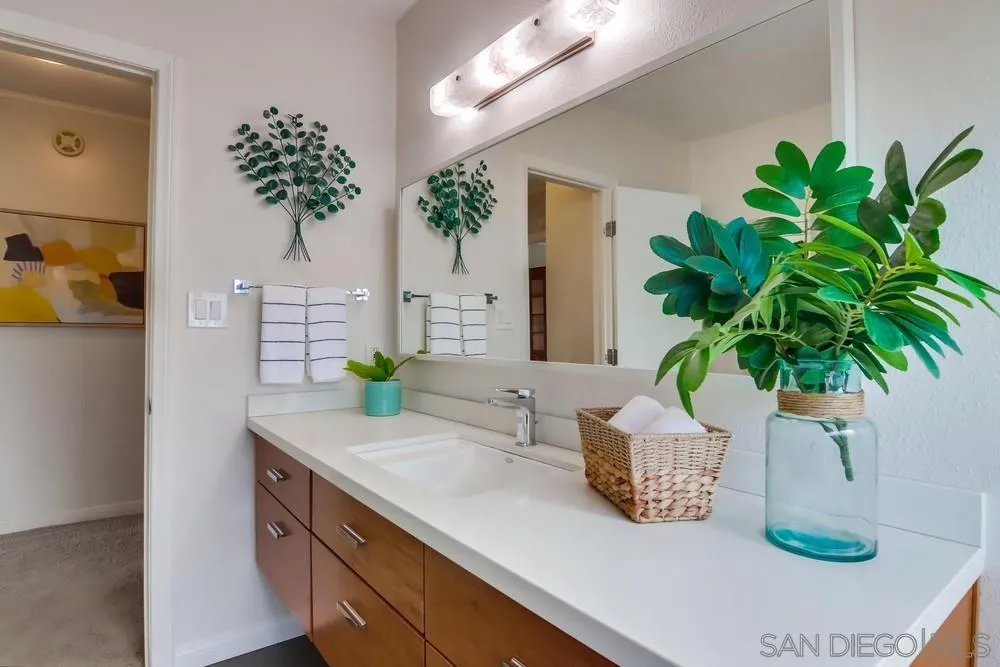 2701 2nd Avenue, Unit 201 San Diego, CA 92103 - Photo 34 of 39 a close view of sink with potted plants