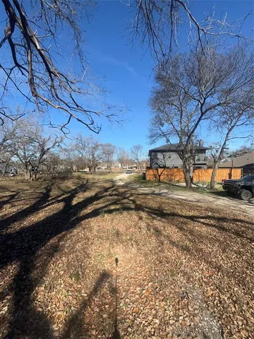a view of a yard with a tree