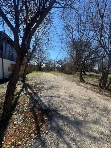 a view of dirt yard and a large tree