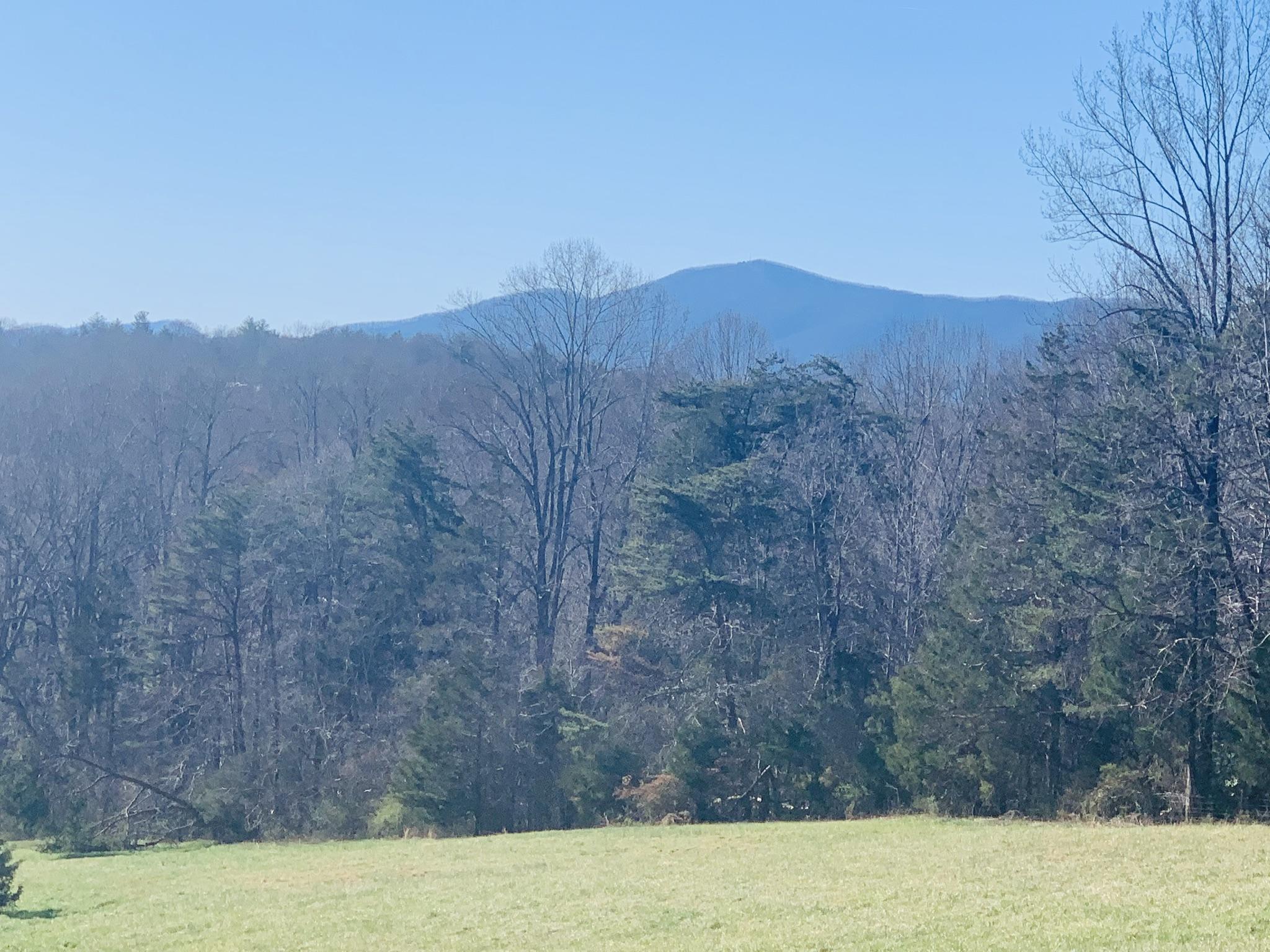 a view of a dry yard with mountain in the background