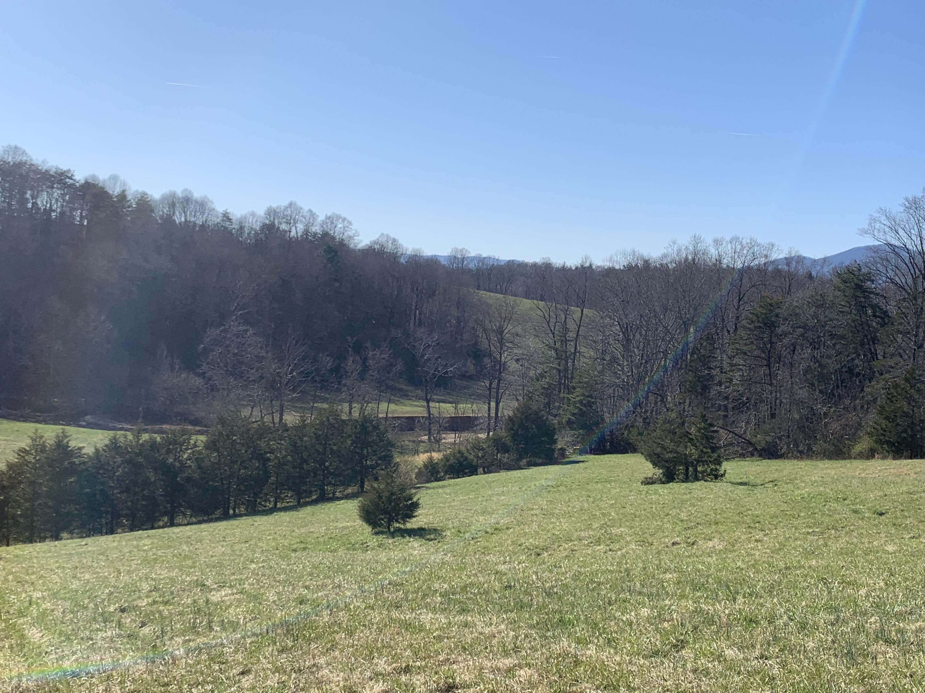 0 Iron Ridge Road Rocky Mount, VA 24151 - Photo 3 of 10 a view of a backyard