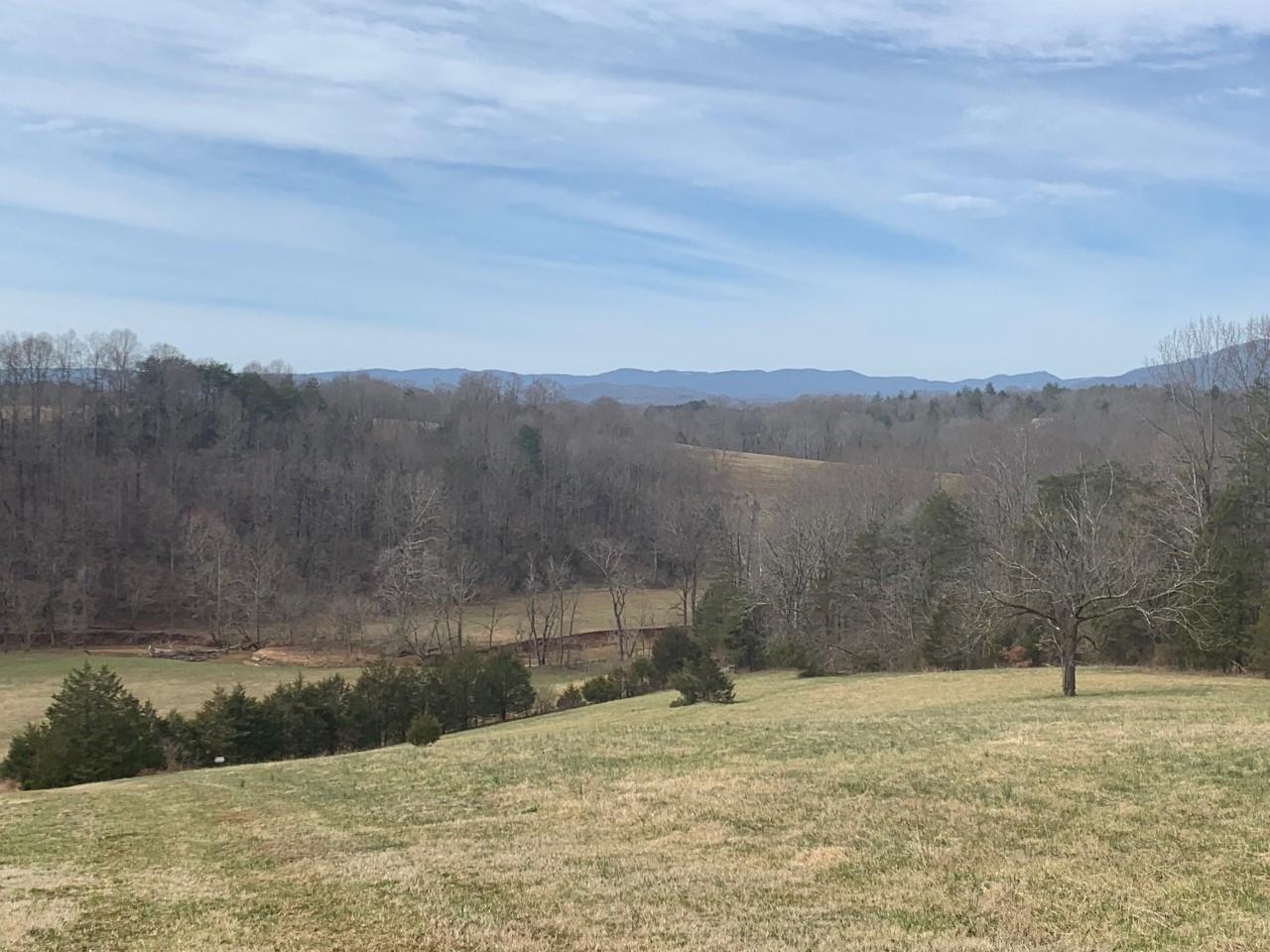 0 Iron Ridge Road Rocky Mount, VA 24151 - Photo 4 of 10