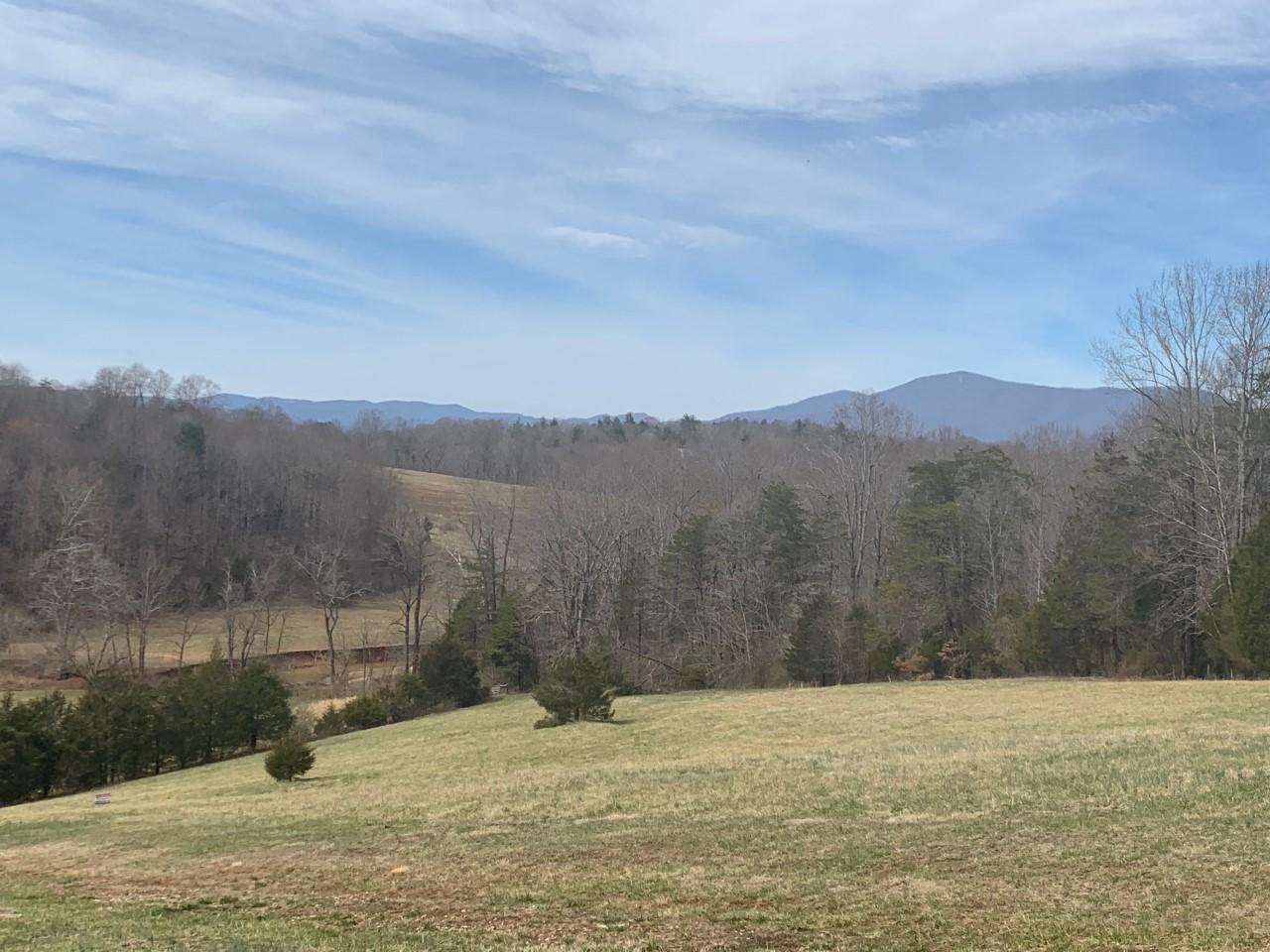 0 Iron Ridge Road Rocky Mount, VA 24151 - Photo 7 of 10 a view of outdoor space and mountain view