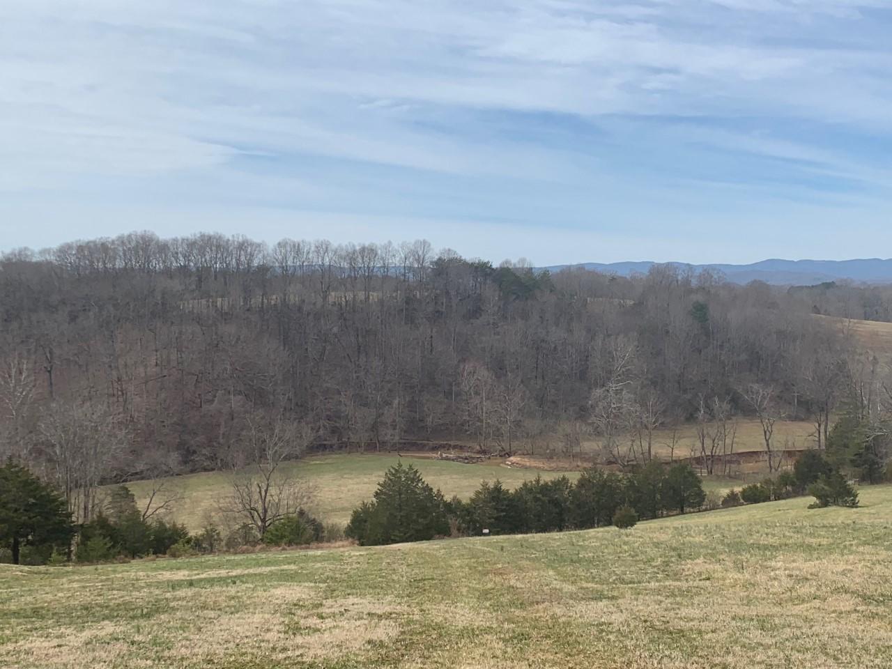 0 Iron Ridge Road Rocky Mount, VA 24151 - Photo 8 of 10 a view of a terrace
